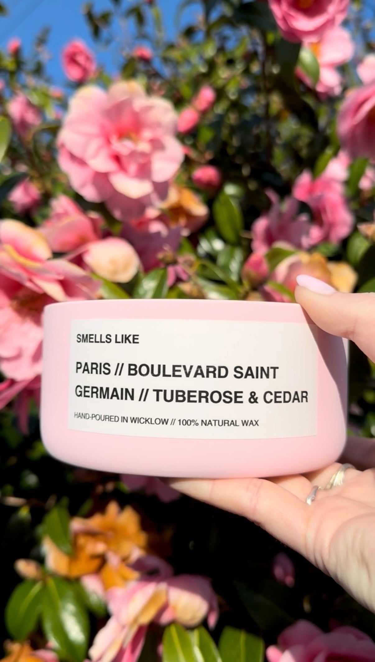 Smells Like Diptyque Saint Germain Inspired Large Scented Candle - Baby Pink Ceramic Candle – bergamot, black pepper and musk - 100% natural Rapeseed candle wax, Coconut candle wax & Beeswax Candle wax -Made in Wicklow Ireland