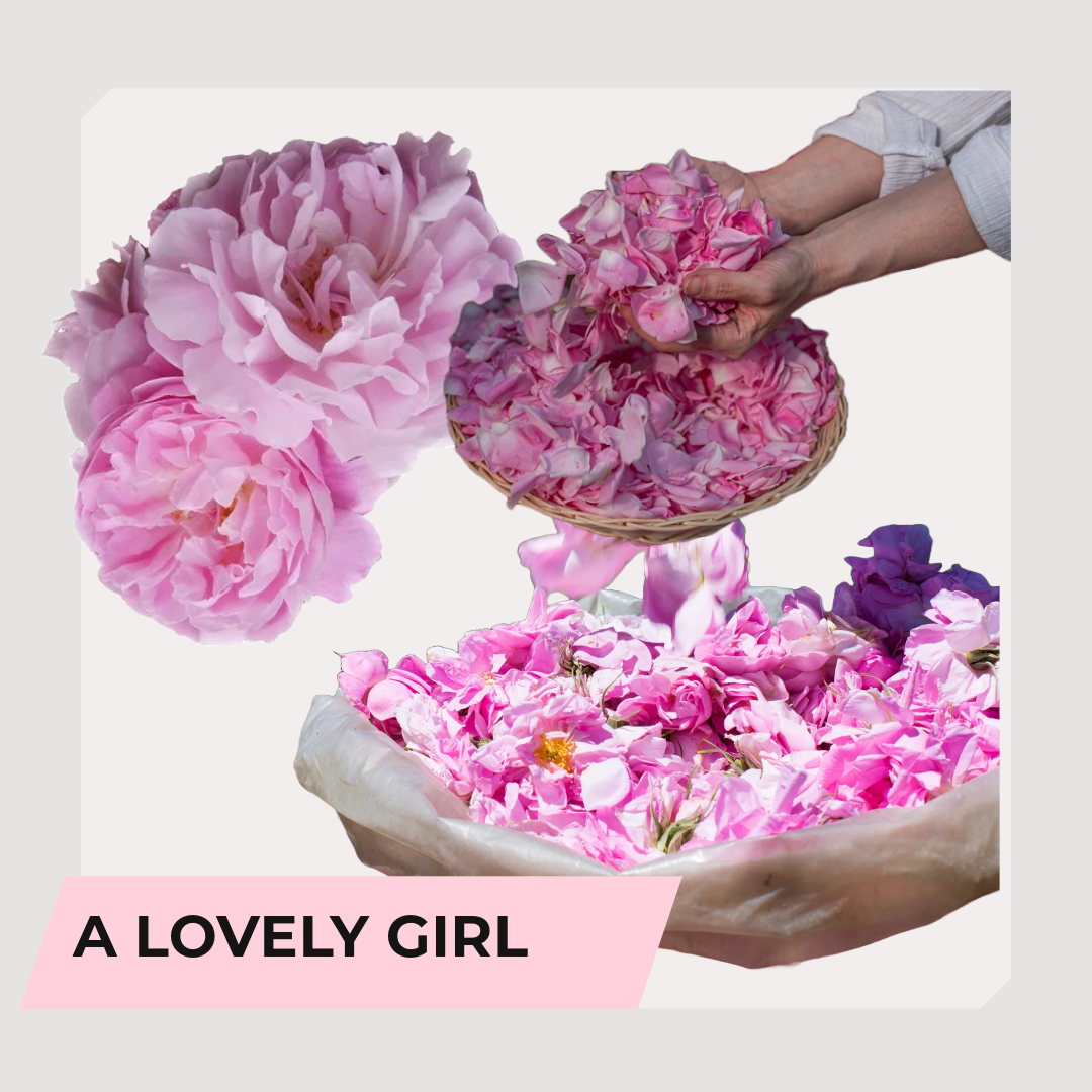 Smells Like – Designer Inspired Scents – Irish candle gifts & luxury  wax melts- 100% natural Rapeseed candle wax, Coconut candle wax & Beeswax Candle wax – Hand-poured in Wicklow Ireland