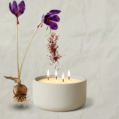 BACCARAT ROUGE // 390G LARGE 4 WICK CERAMIC CANDLE