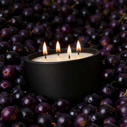 BAIES // 390G LARGE 4 WICK CERAMIC CANDLE