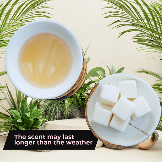 Smells Like The White Company Seychelles inspired scented Luxury wax melts - 100% natural hand-poured soy wax melts - Made in Wicklow Ireland